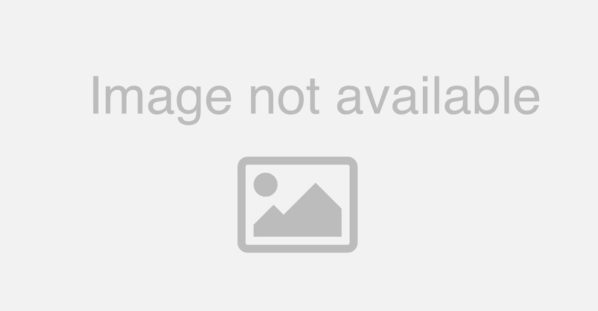 Courtney Stein Cairncross