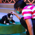 Mireya Luna as Carmela in The Rose Theater's production of CARMELA FULL OF WISHES, making its world premiere Jan 28 - Feb 13, 2022.